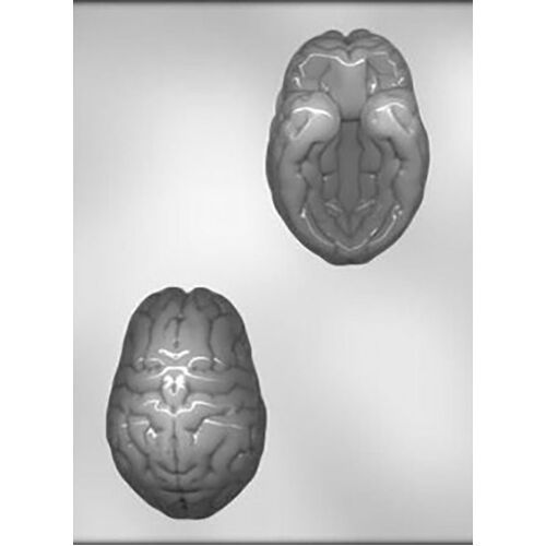 BRAIN 3D Chocolate Mould