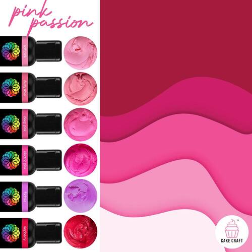 VIVID | PINK PASSION 6 PACK | GEL COLOURS | 6 x 21G